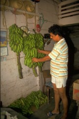 Abastecimeinto 1994