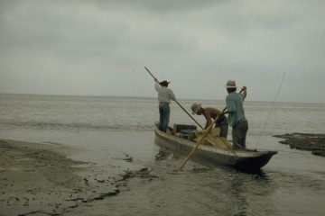 Abastecimeinto 1994