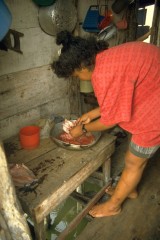 Amas de casa Nueva Venecia 1994