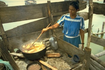 Amas de casa Nueva Venecia 1994