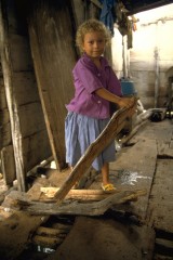 Amas de casa Nueva Venecia 1994
