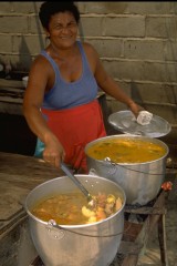 Amas de casa Nueva Venecia 1994