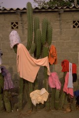 Amas de casa Nueva Venecia 1994