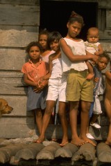 Amas de casa Nueva Venecia 1994