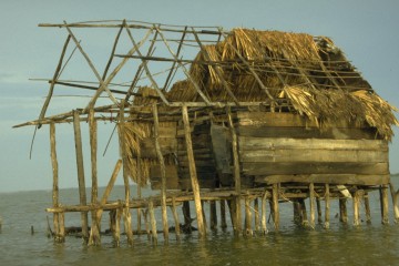 Casa Nueva Venecia 1994