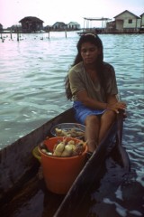 Amas de casa Nueva Venecia 1994