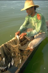 Pesca con atarraya 1994