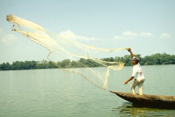 Pesca con atarraya 1994