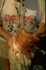 Pesca con atarraya 1994