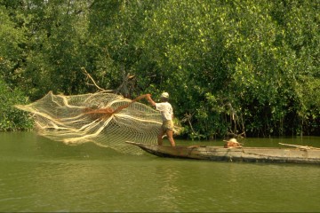 Pesca con atarraya 1994
