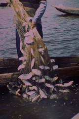 Pesca con atarraya 1994