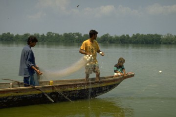 Pesca con boliche 1994