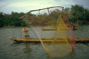 Pesca de camerón 1994