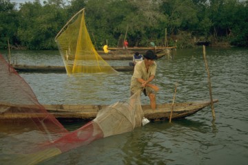 Pesca de camerón 1994