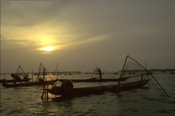 Pesca de camerón 1994