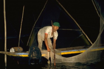 Pesca de camerón 1994