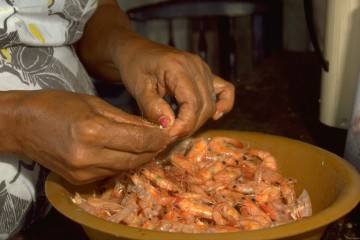 Preparación del camerón 1994