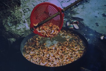 Preparación del camerón 1994