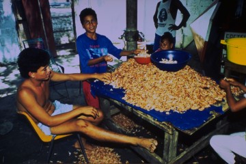 Preparación del camerón 1994