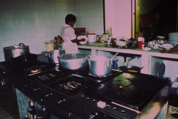 Preparación del camerón 1994