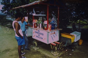 Venta del camerón 1994