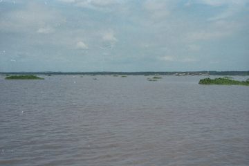 Co040_11