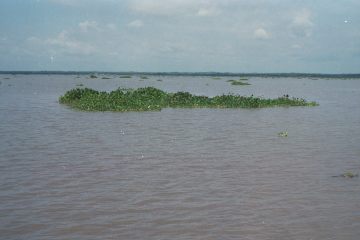 Co040_12