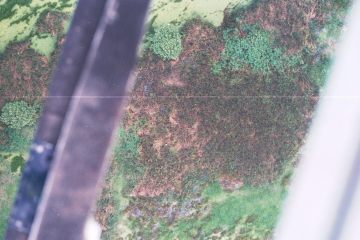 Co050_19