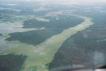 Co050_20