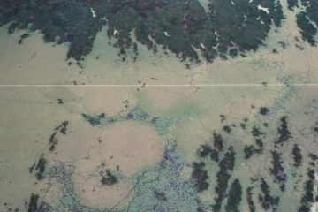 Co050_21