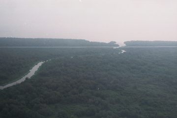 Co050_29