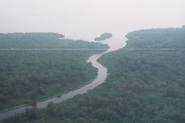 Co050_31