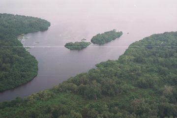 Co050_33
