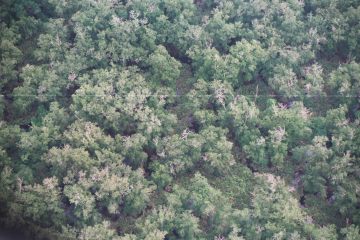 Co050_34