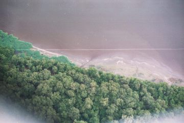 Co050_35