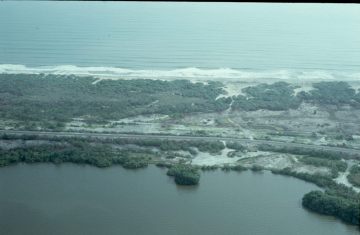 Co055_03