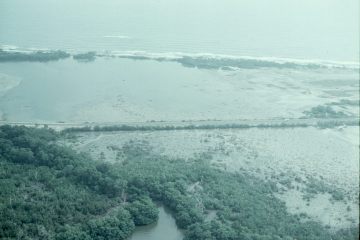 Co055_05