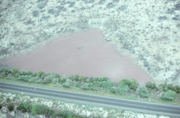 Co055_17