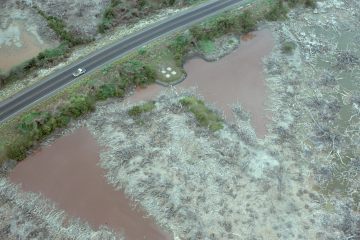 Co055_19