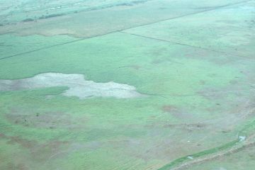 Co055_35