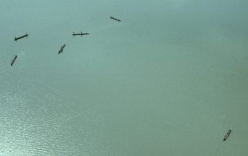 Co061_08