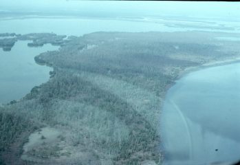 Co061_12