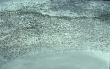 Co061_16