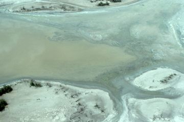 Co061_19