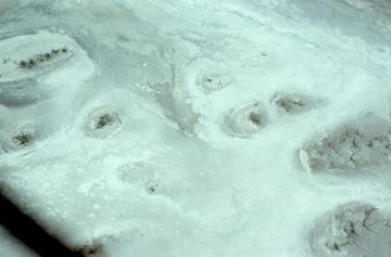 Co061_20
