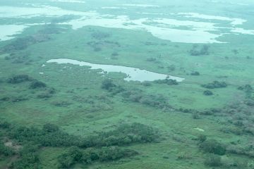 Co061_31