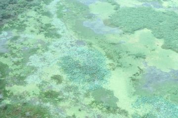 Co062_21
