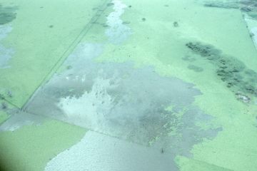 Co062_26