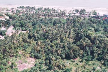 Co077_32