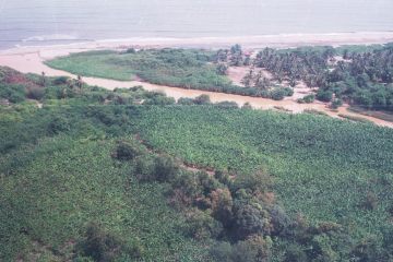 Co077_35